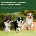 vitamin-e-for-dogs-liquid-vitamin-e-oil--5.jpg