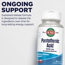 kal-pantothenic-acid-1000mg-sustained-re-5.jpg