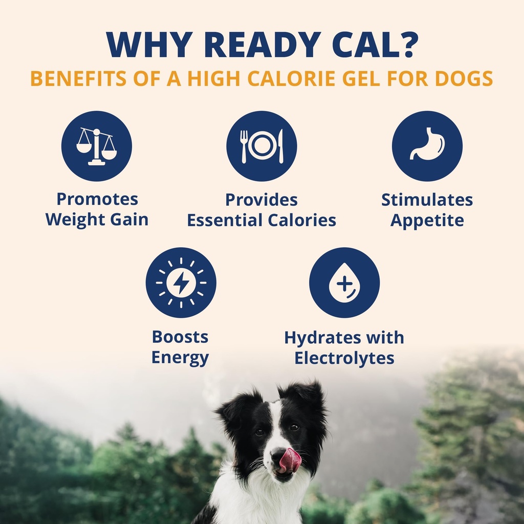 under-the-weather-pet-electrolytes-ready-2.jpg