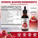 liposomal-nad-liquid-drops-with-coq10-pq-2.jpg