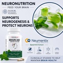 bricker-labs-brain-aid-memory-matters-no-4.jpg