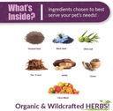 amber-naturalz-kochi-free-herbal-supplem-3.jpg