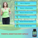 organic-sea-moss-black-seed-oil-ashwagan-5.jpg