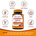 doctor-s-recipes-mushroom-supplement-500-71xsWMDfoDL.jpg