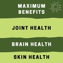 vegan-fish-oil-alternative-award-winning-51JDgHosYlL.jpg