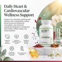 nature-s-ability-lipidreset-heart-suppor-81+Z-wf+3jL.jpg