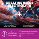 creatine-monohydrate-powder-electrolyte--91eS5WaFijL.jpg