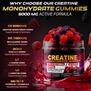 creatine-monohydrate-gummies-bcaa-beta-a-71mLduT1d3L.jpg