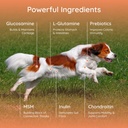petralyte-dog-electrolyte-and-joint-supp-2.jpg