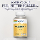 solaray-vegan-betaine-hcl-w-pepsin-and-b-718D+41PnnL.jpg
