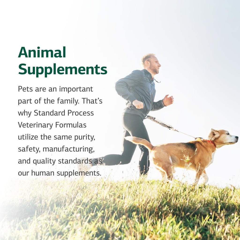 standard-process-canine-immune-system-su-710ZtOKEgtL.jpg