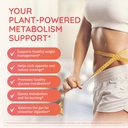 happy-healthy-hippie-metabolaid-chromium-81kCNpH3UuL.jpg