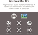 om-mushroom-superfood-organic-chaga-mush-61CInbD0kLL.jpg