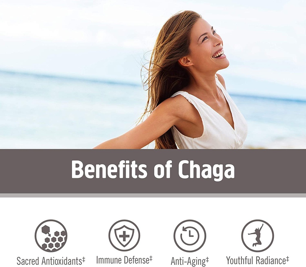 om-mushroom-superfood-organic-chaga-mush-61GsJplYOhL.jpg