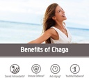 om-mushroom-superfood-organic-chaga-mush-61GsJplYOhL.jpg