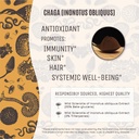 hamilton-s-true-chaga-organic-mushroom-e-71G5VeW3gFL.jpg