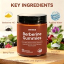 berberine-gummies-500mg-per-gummy-sugar--81ykex4ilUL.jpg