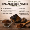 organic-freeze-dried-chaga-mushroom-extr-817pWrEoN2L.jpg