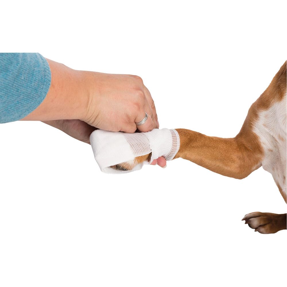 scot-petshop-first-aid-kit-for-dogs-and--51Y1ljBqZhL.jpg