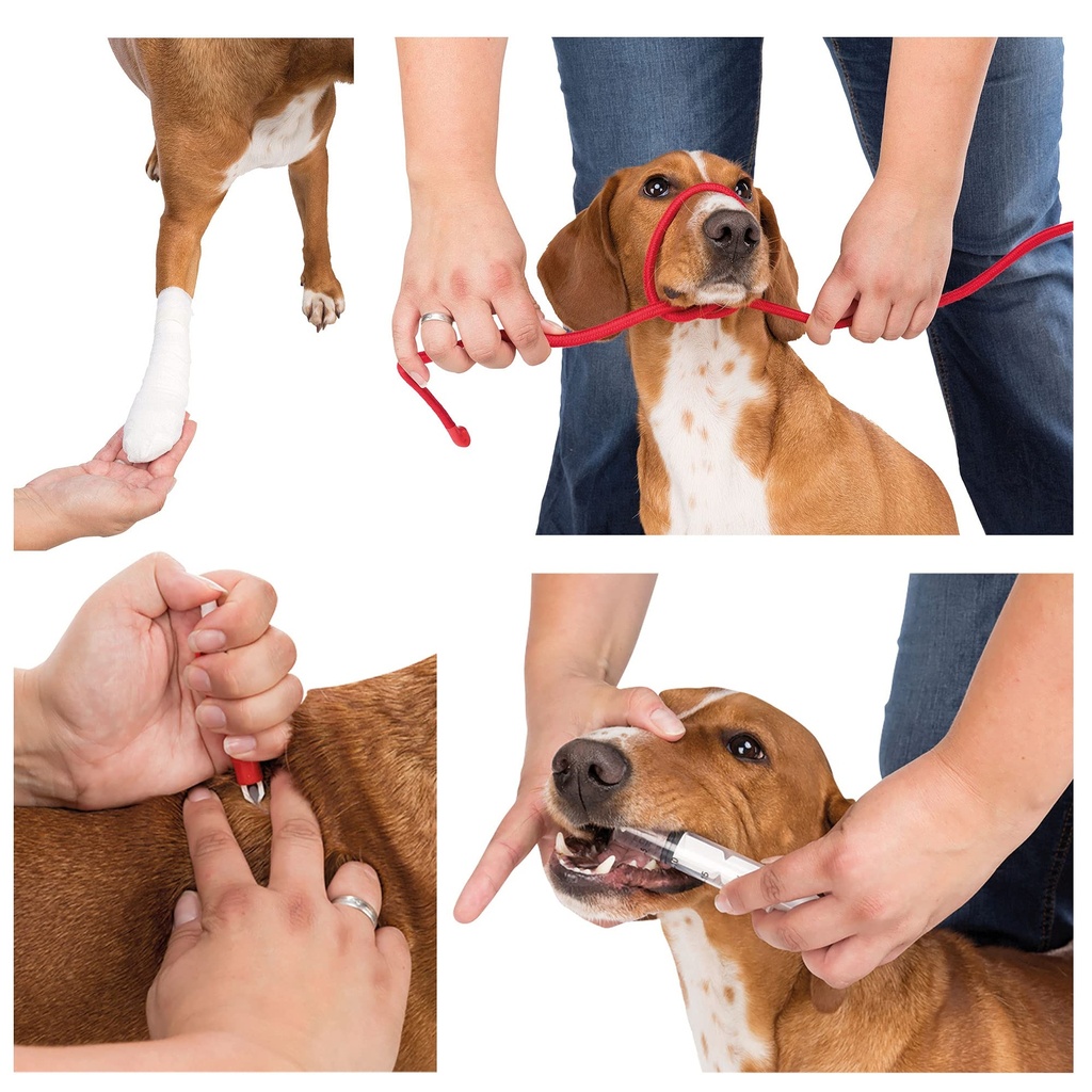 scot-petshop-first-aid-kit-for-dogs-and--81mvLV+YEZL.jpg