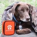 118-pcs-dog-cat-first-aid-kit-travel-pha-81nJTQbeTIL.jpg