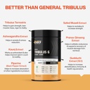 myfitfuel-tribulus-terrestris-6-herbs-20-61UgMfM+AqL.jpg