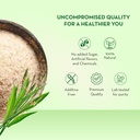 baidyanath-asli-ayurved-isabgol-100-gm-p-71K0lbVZZuL.jpg