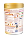 groviva-gold-milk-protein-powder-for-kid-81yTNivHnjL.jpg
