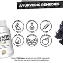 activated-charcoal-500mg-90-tablets-71HHoLNyTOL.jpg