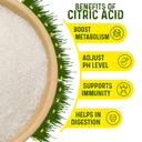 haribas-citric-acid-powder-200gm-multifu-711Lzm6g0wL.jpg