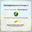 miduty-veg-omega-3-500mg-40-algal-dha-ep-61u9c5QbPsL.jpg