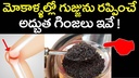 pmw-mahabeera-seeds-mahabeera-ginjalu-fo-61Rahhq56YL.jpg
