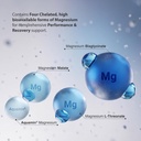 muscleblaze-magnesium-matrix-90-tablets-71Jwyq2DWXL.jpg