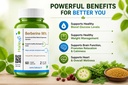 berberine-98-high-bioavailability-6-in-1-710C4ypXb7L.jpg