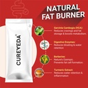 cureveda-weight-gut-natural-weight-manag-61DU-mGWxfL.jpg