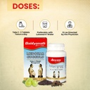 baidyanath-ayurved-medohar-guggulu-table-71HMdbxz76L.jpg