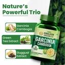vlado-s-himalayan-organics-garcinia-camb-71-7-zzntkL.jpg