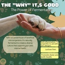 petfir-pack-kefir-for-dogs-and-cats-supp-6.jpg