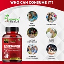 humming-herbs-spermidine-trihydrochlorid-81PQAX-9ggL.jpg