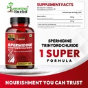 humming-herbs-spermidine-trihydrochlorid-81keUH3vPWL.jpg