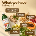krishna-s-nutrin-juice-rich-source-of-nu-71ZuWe3wI+L.jpg