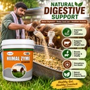 hiimal-zyme-powder-digestive-enzyme-prob-71UzP6fisEL.jpg