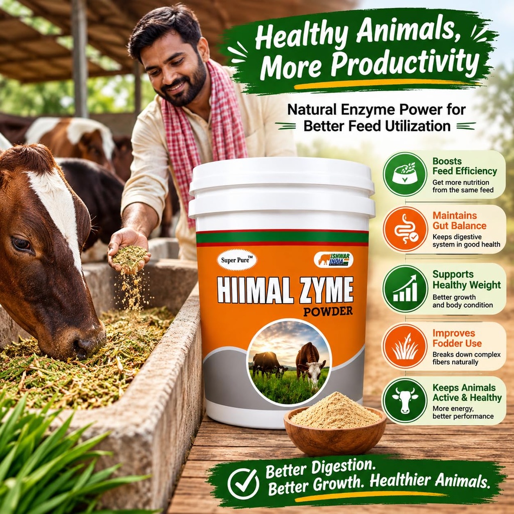 hiimal-zyme-powder-digestive-enzyme-prob-81QiVDDKi9L.jpg