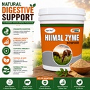 hiimal-zyme-powder-digestive-enzyme-prob-71t5H+5xHzL.jpg