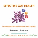 bliss-welness-prebiotics-and-probiotic-s-715KiROg+RL.jpg