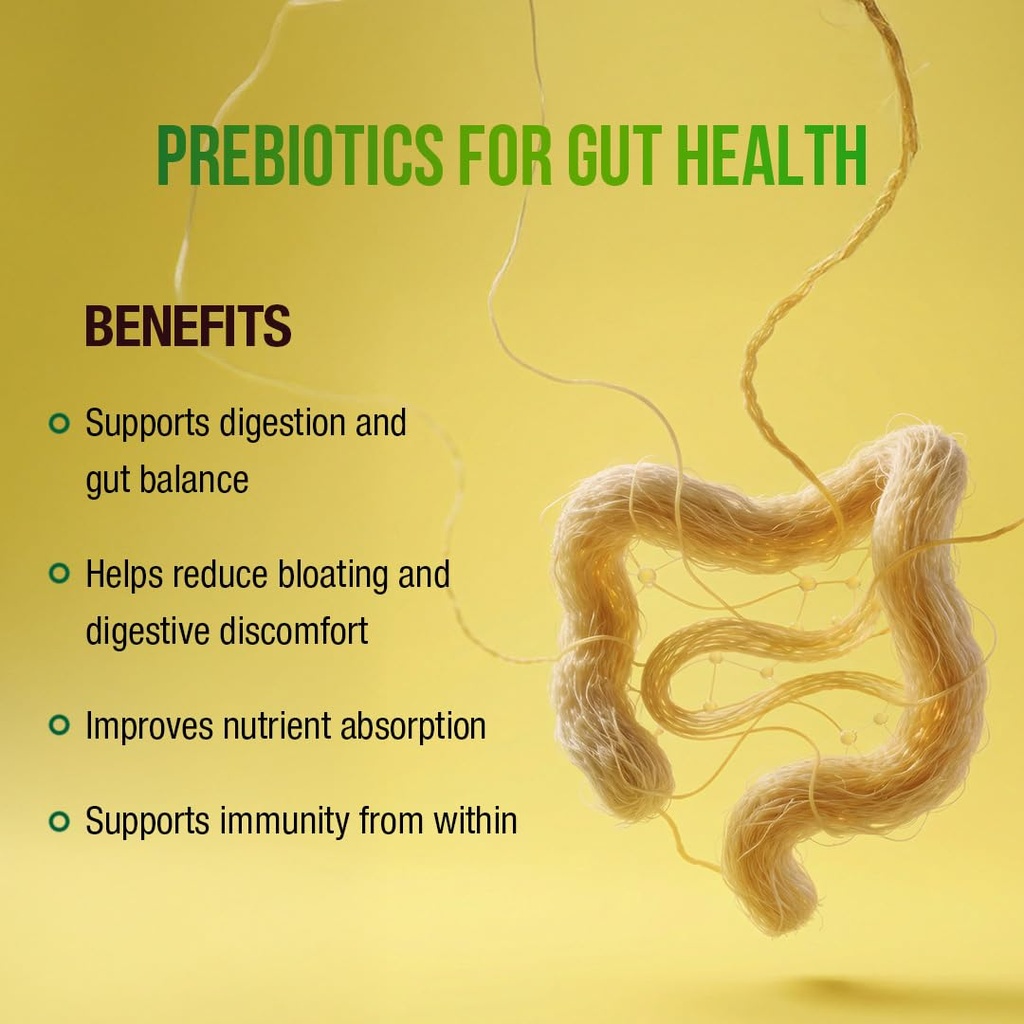 wow-life-science-gut-fine-probiotics-pre-61s3ABoWF1L.jpg