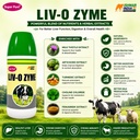 liv-o-zyme-liver-tonic-digestive-supplem-71T25zQQ7ZL.jpg
