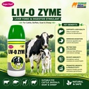 liv-o-zyme-liver-tonic-digestive-supplem-71V1k+CJw3L.jpg