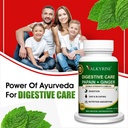 digestive-care-and-papain-ginger-soothe--71bksOHcHBL.jpg
