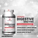 muscle-gears-multi-enzyme-complex-lipase-61DVj6GUUaL.jpg